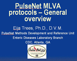 MLVA Overview