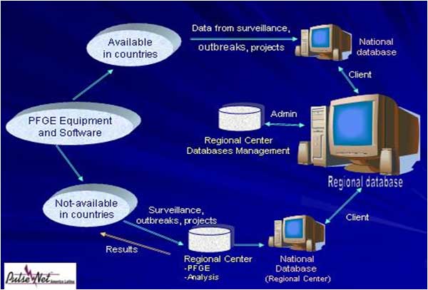 Data management flowchart