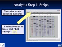 Gel anlaysis presentation - PDF 2228KB