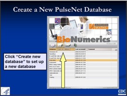 Creating Databases and Installing MasterScripts - PDF 946KB
