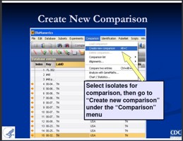 Querying and Performing Comparisons- PDF 4027KB
