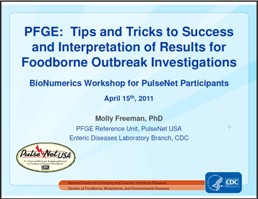 PFGE: Tips and Tricks - PDF 3249KB